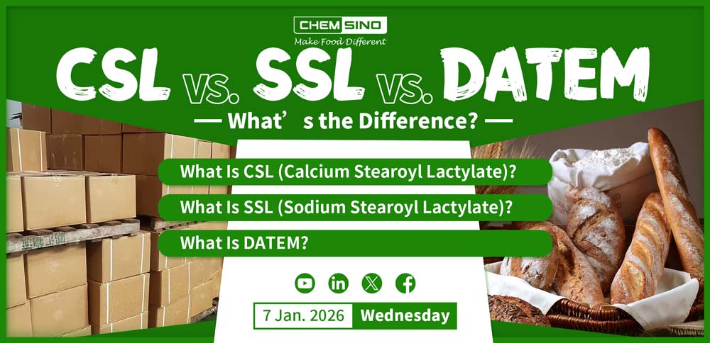 CSL vs SSL vs DATEM